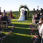 The Vineyard Wedding: Tips for Winery Weddings