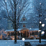 Tips for a Winter Wonderland Wedding