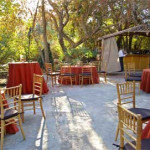 Gardens: Weddings with Garden Theme Showcase Beauty of Outdoors