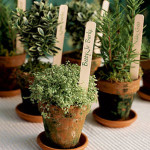 10 Tips for an Eco-Friendly Wedding