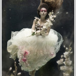 Underwater Wedding Photos?