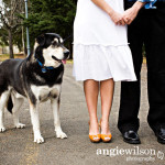 A Dog Ring Bearer? Pet-lovers Involve Furry Friends in Big Day