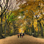 Sponsored Post: Have an Intimate Wedding in New York with Elope NYC