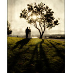 IW Hot Shot!: Tall Shadows
