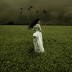 IW Hot Shot!: Bride with Crows