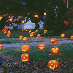 Pumpkin Theme Wedding Ideas