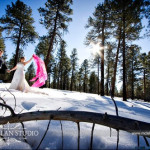 IW Hot Shot!: Winter Wonderland