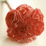 How to Make Paper Flowers from Cupcake Liners