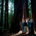 Real Weddings: Rachel and Sky’s California Forest Wedding