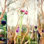 Dangling Flowers are Delightful