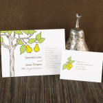 Sponsored Post: David’s Bridal offers Wedding Invitations