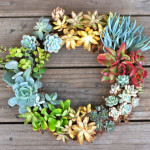 DIY Succulent Wreath