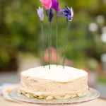 Take the Cake: Top 10 Unique Cake Toppers