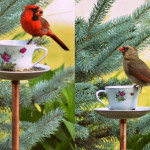 DIY Bird Feeder