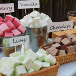 Gourmet S’mores Station for a Rustic Wedding