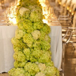 Hot for Hydrangeas!