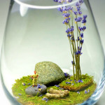 How to Make a Terrarium for Your Wedding