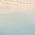 Pinspiration Sunday: Fly