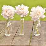 Peony Power!