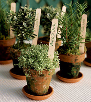 potted herbs as wedding favors