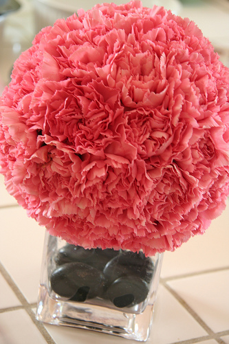 carnation pomander