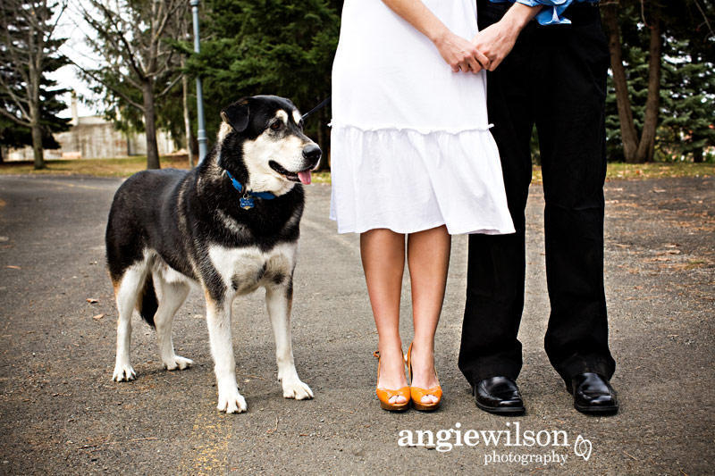 dog ring bearer