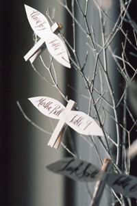 claire reyes love doves