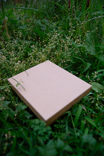 diy invitations