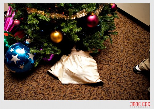 christmas wedding