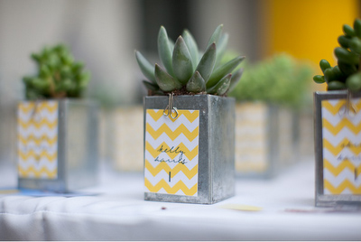 diy favor succulent