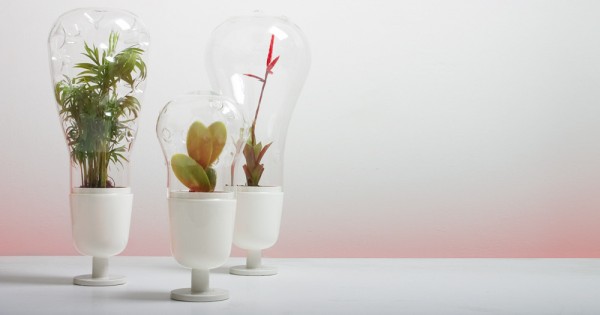mod bubble plant decor for intimate weddings