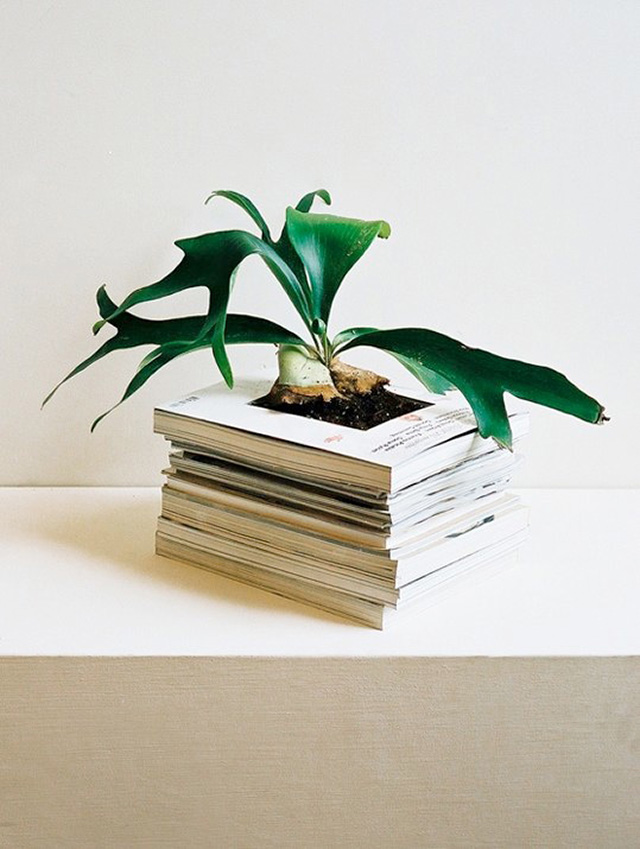 alternative planter in stack of books for wedding centerpiece