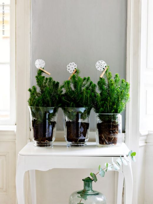 plant centerpieces for wedding