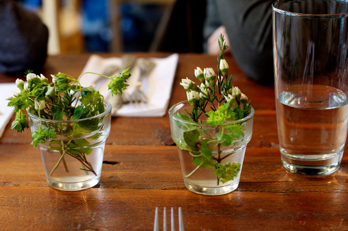 sweet and simple plant decor for a small wedding