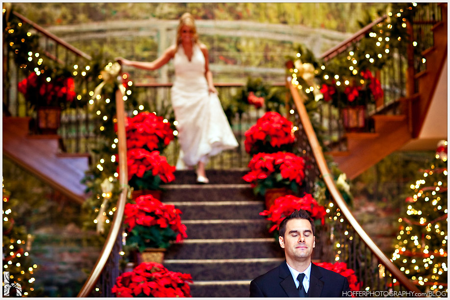 Poinsettias wedding flowers