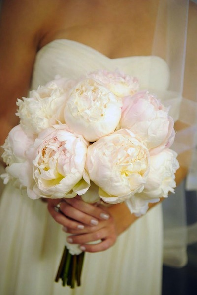 Image result for peony wedding flower