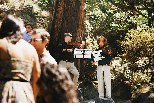 wedding violinists