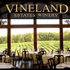 vinelandthm1