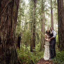 intimate weddings redwood forest locations budget venues