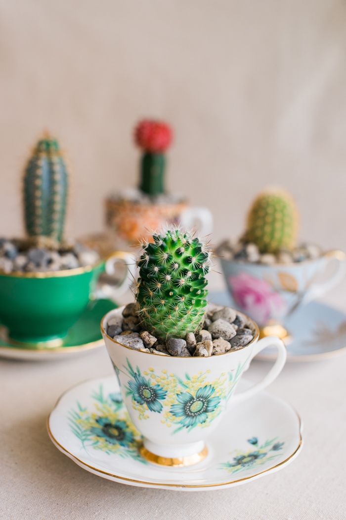 http://www.intimateweddings.com/wp-content/uploads/2016/09/diy-cactus-in-a-teacup-7-700x1050.jpg