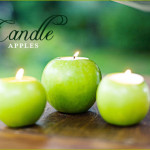 Apple Theme DIY Wedding Ideas