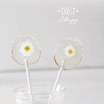 DIY Daisy Lollipops