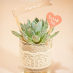 DIY Plant Wedding Favors