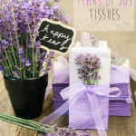 DIY Tears of Joy Tissues