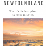 Where is the Best Location to Elope in Newfoundland?