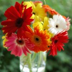 Flower DIY: Bouquets in Hanging Mason Jars