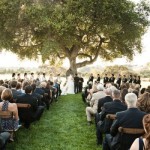 Big Tree, Small Wedding