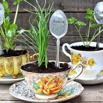 DIY Stamped Spoon Plant Markers