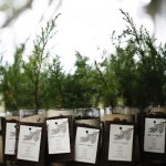 Eco-Friendly Favors at Tree Beginnings