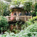 Ontario Wedding Venues: Cambridge Butterfly Conservatory